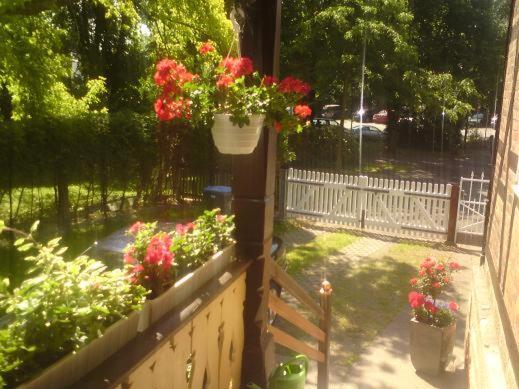 Haus Amelie Lägenhet Bad Salzungen Exteriör bild